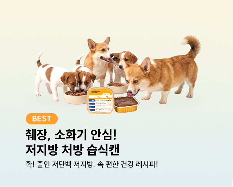 청담닥터스랩 로우펫