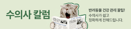 수의사컬럼