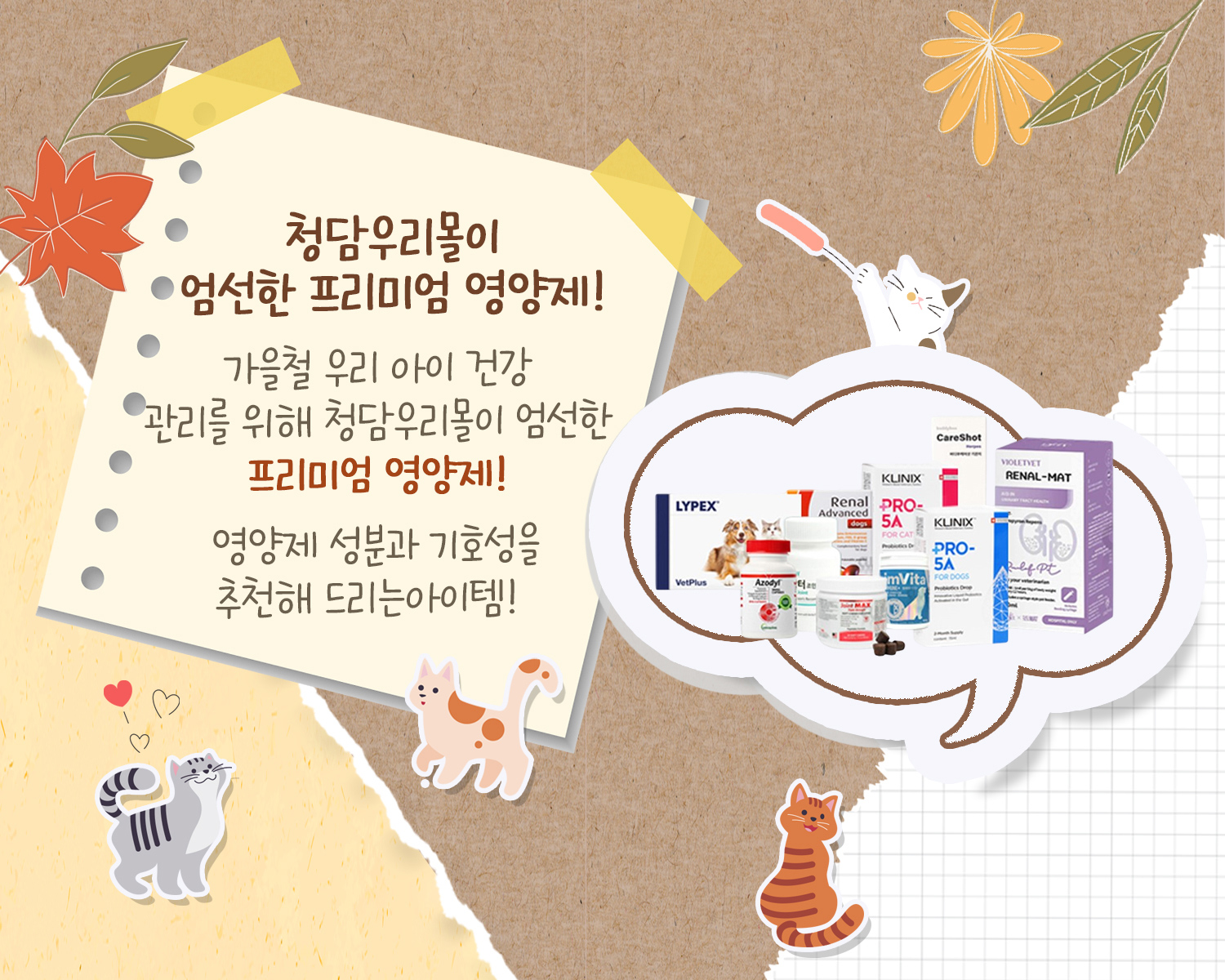 가을철 영양제